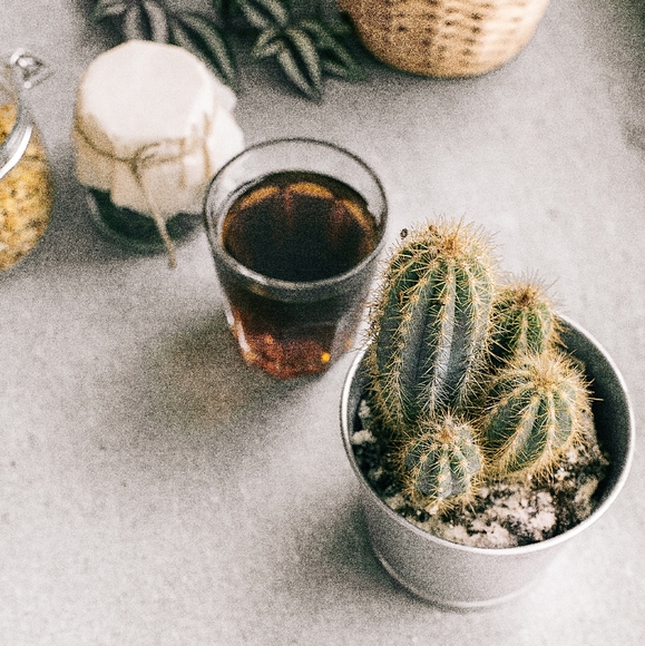 Meet your Posher, Lauren - Picture 2 of 2